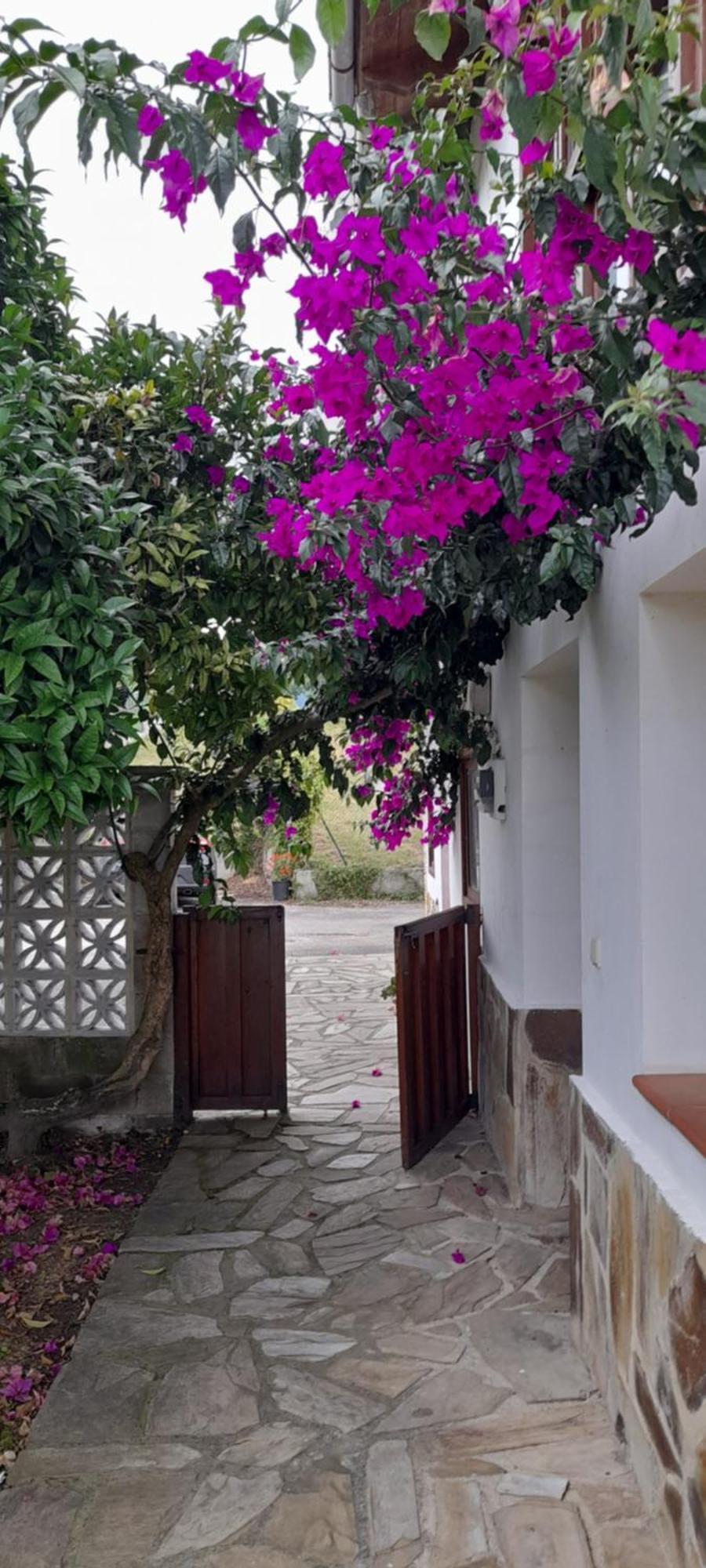 לאנס Gestiona2R - Casa Con Finca En Pendueles Al Lado De La Playa מראה חיצוני תמונה